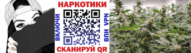 Продажа наркотиков Куртамыш ГЕРОИН  Cocaine  Меф  ГАШИШ  СК 