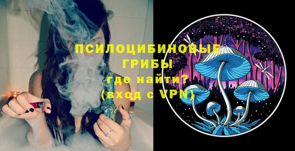 Альфа ПВП Магас