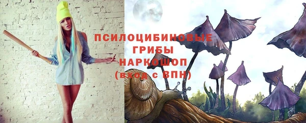 PSILOCYBIN Куйбышев