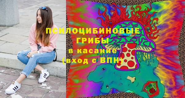 дмт Лагань