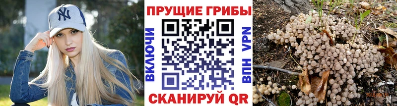мориарти формула  наркота  Куртамыш  Псилоцибиновые грибы прущие грибы 